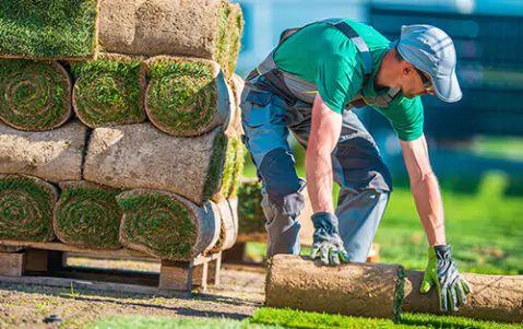 Landscaping Services